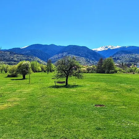 Nikol #1 Радуил