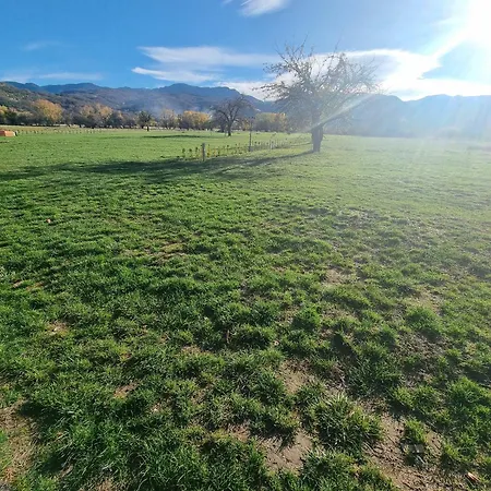 Nikol #1 Радуил