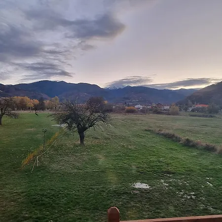 アパート Nikol #1 Raduil